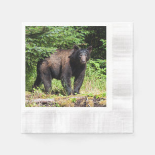 Alpha Black Bear Napkin