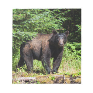 Alpha Black Bear Notepad