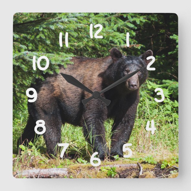 Alpha Black Bear Square Wall Clock (Front)