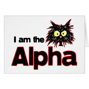 Alpha Cat