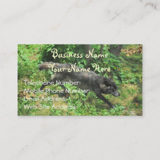 Alpha Grey Wolf in Summer Wildlife Business Cards