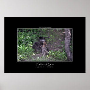 Alpha Male Grey Wolf & Pup Photo Print