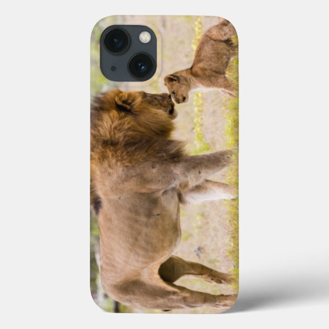 Alpha male lion inspects cub Case-Mate iPhone case (Back)