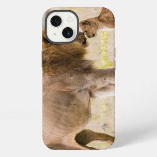 Alpha male lion inspects cub iPhone 13 case