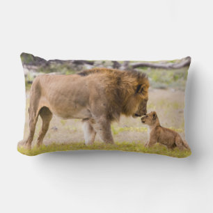 Alpha male lion inspects cub lumbar cushion