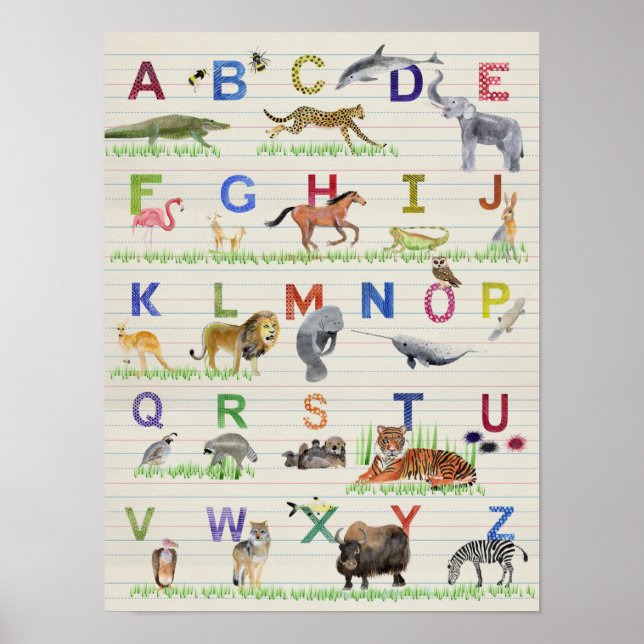 Alphabet Animals Poster (Front)