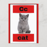 alphabet card(with real picture)Holiday Postcard