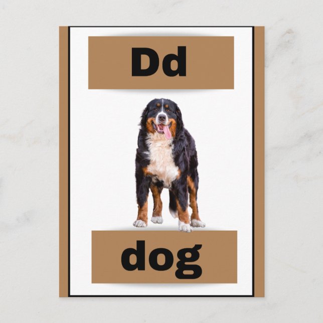 alphabet card(with real picture)Holiday Postcard (Front)