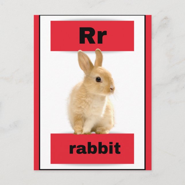 alphabet card(with real picture) holiday postcard (Front)