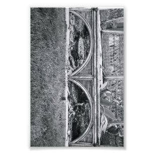 Alphabet Letter Photography B2 Black and White 4x6 Photo Print