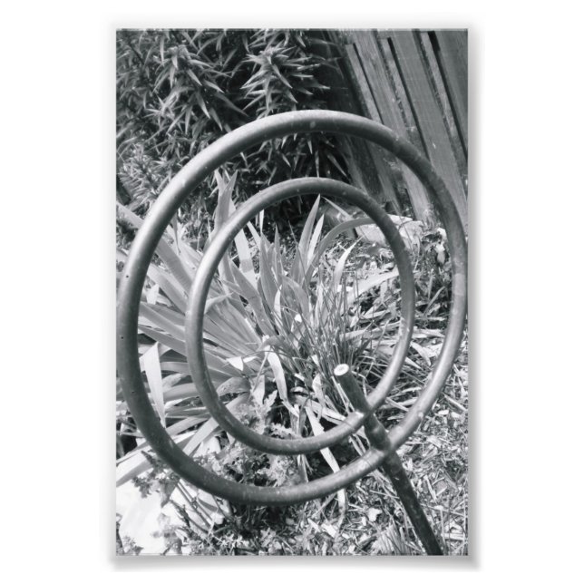 Alphabet Letter Photography Q1 Black and White 4x6 Photo Print (Front)