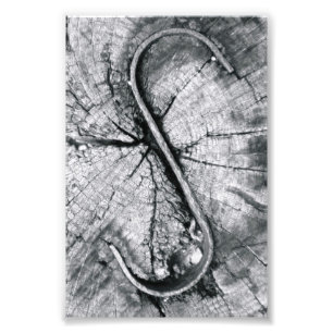 Alphabet Letter Photography S2 Black and White 4x6 Photo Print
