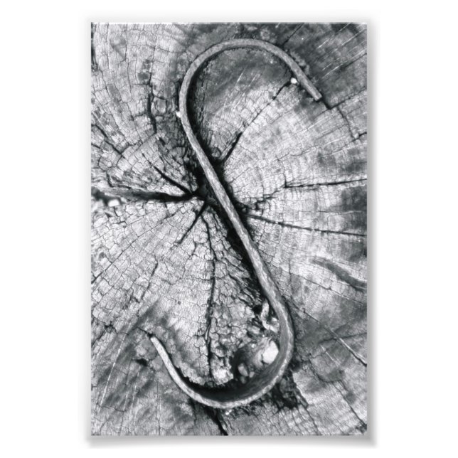 Alphabet Letter Photography S2 Black and White 4x6 Photo Print (Front)
