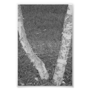 Alphabet Letter Photography V3 Black and White 4x6 Photo Print