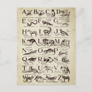 Alphabet Nursery Chart Vintage Postcard
