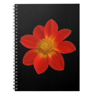 Alpine Cherub (Dahlia) Spiral Notebook