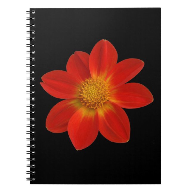 Alpine Cherub (Dahlia) Spiral Notebook (Front)