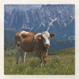 Alpine Cow Glass Coaster