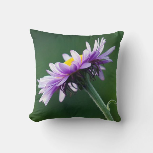 Alpine Daisy Cushion (Front)
