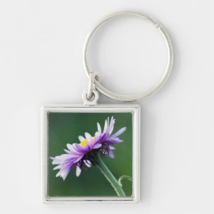 Alpine Daisy Key Ring