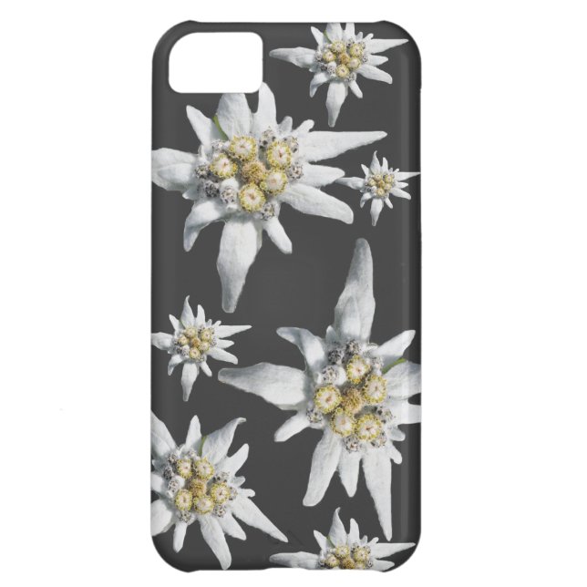 Alpine Edelweiss Flower Iphone Case (Back)