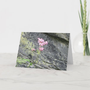Alpine Flowers Card