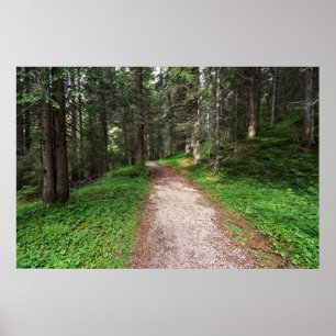 alpine forest poster