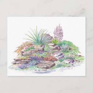 Alpine Garden Landscaping Postcard