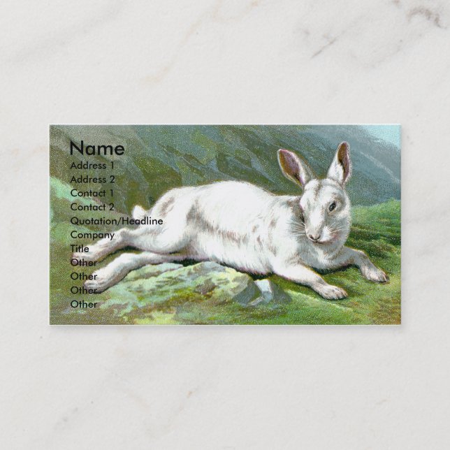 Alpine Hare Business Card (Front)