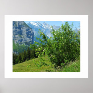 Alpine landscape in Switzerland Poster