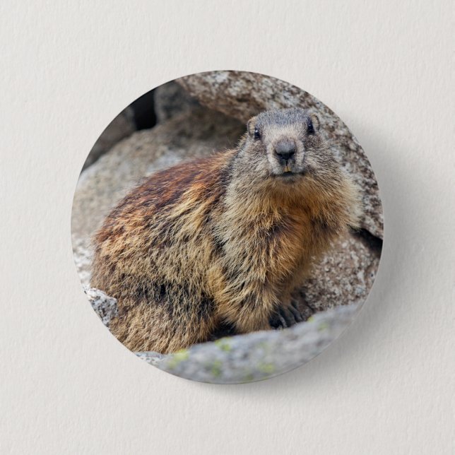 Alpine Marmot Badge (Front)
