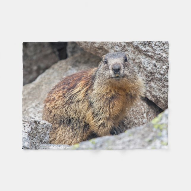 Alpine Marmot Fleece Blanket (Front (Horizontal))
