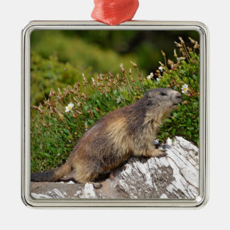 Alpine marmot on rock metal tree decoration