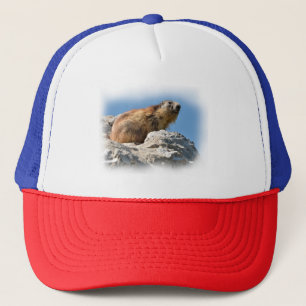 Alpine marmot on rock trucker hat