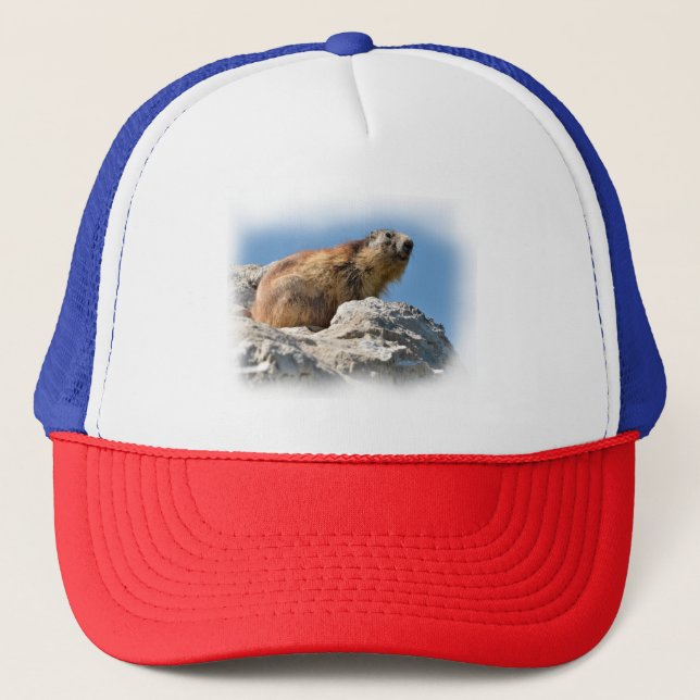 Alpine marmot on rock trucker hat (Front)