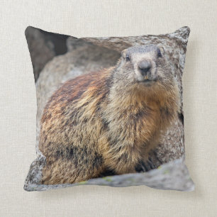 Alpine Marmot Pillow