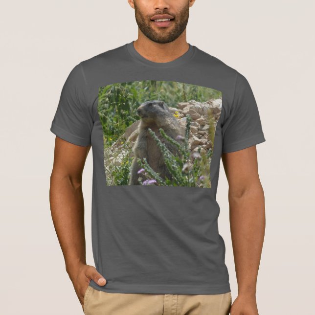 Alpine Marmot Sitting Down T-shirt (Front)