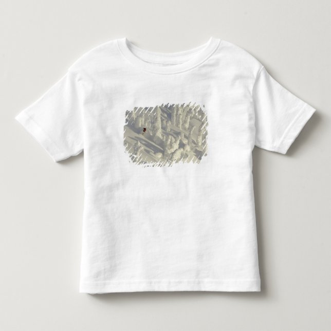 Alpine Skier in thick snowghosts at Big Toddler T-Shirt (Front)