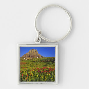 Alpine wildflowers at Logan Pass in Glacier Key Ring