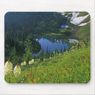 Alpine Wildflowers in the Jewel Basin in the Mouse Pad
