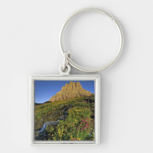 Alpine wildflowers & Mt Clements at Logan Pass Key Ring (Front)