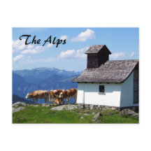 Alps Mountain Scene with Alpine Cows