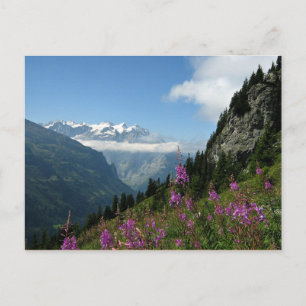 Alps - Switzerland Postcard