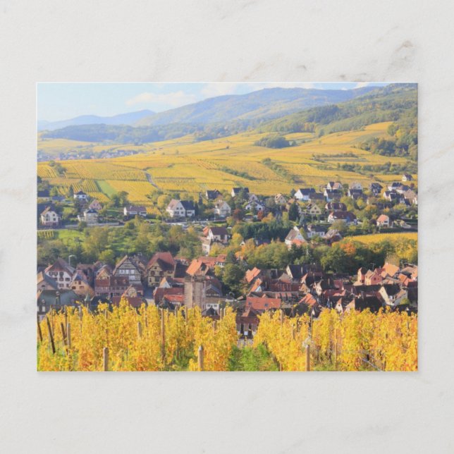 Alsace, France 6 Postcard (Front)