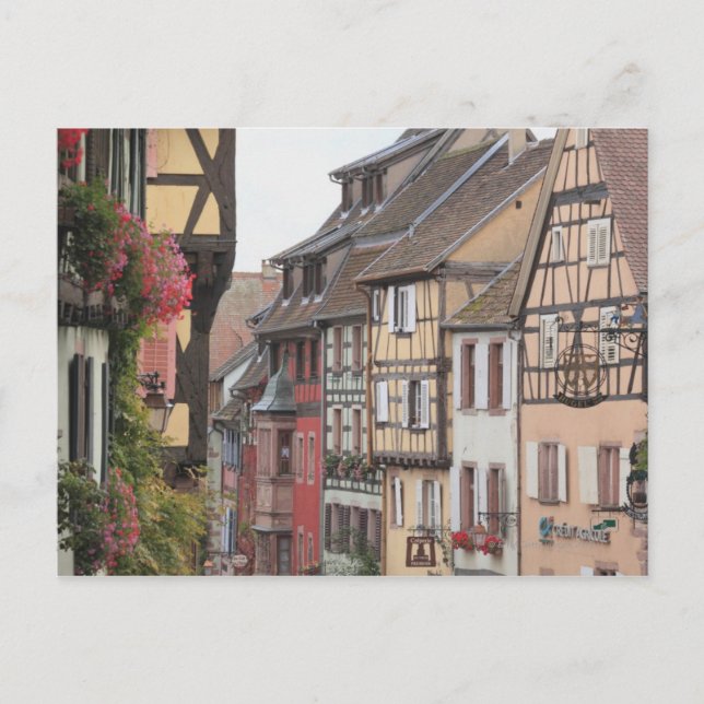 Alsace, France 8 Postcard (Front)