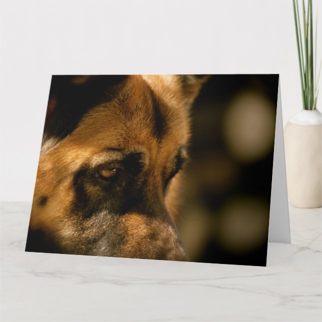 Alsatian Emotions Birthday Card (Front)