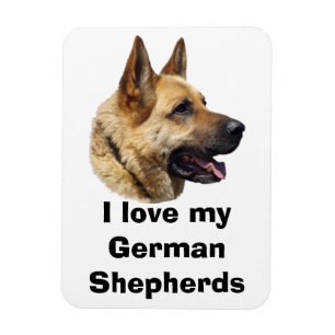 Alsatian German shepherd dog portrait Magnet