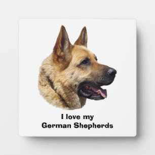 Alsatian German shepherd dog portrait Plaque