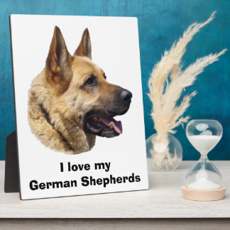 Alsatian German shepherd dog portrait Plaque