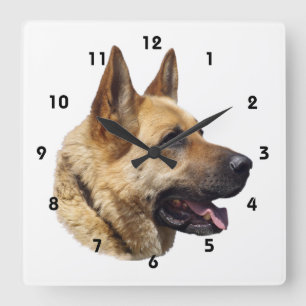 Alsatian German shepherd portrait Square Wall Clock